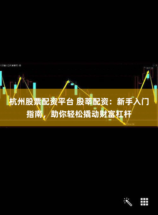 杭州股票配资平台 股莘配资：新手入门指南，助你轻松撬动财富杠杆