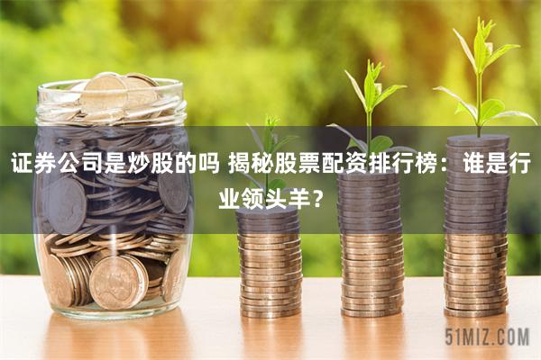 证券公司是炒股的吗 揭秘股票配资排行榜:谁是行业领头羊?